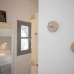 אכסניה Bedspot